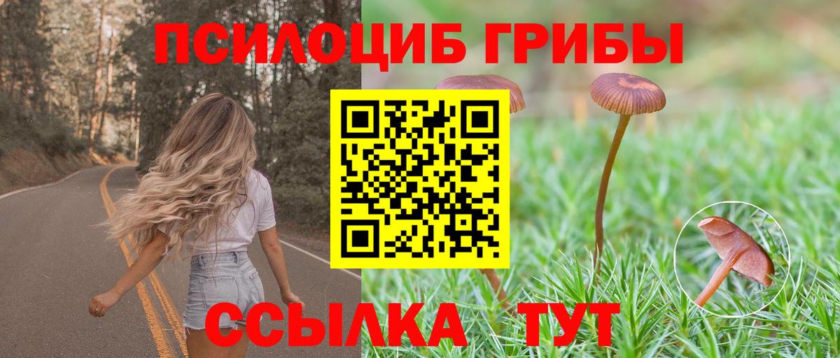 Псилоцибиновые грибы мицелий Усинск